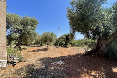 Landejendom i Monopoli, Bari, Monopoli - € 240.000 | Ref: 114 - foto 40